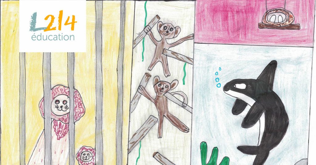 Des élèves de CM1 engagés pour les animaux !