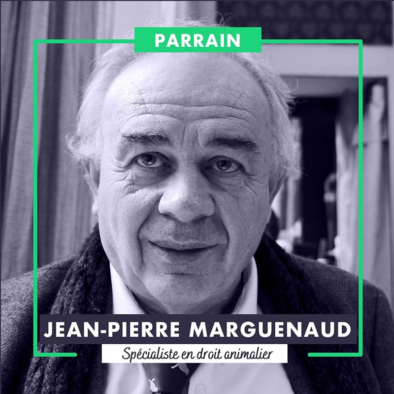 Le Professeur Jean-Pierre Marguénaud est parrain de la Marche.