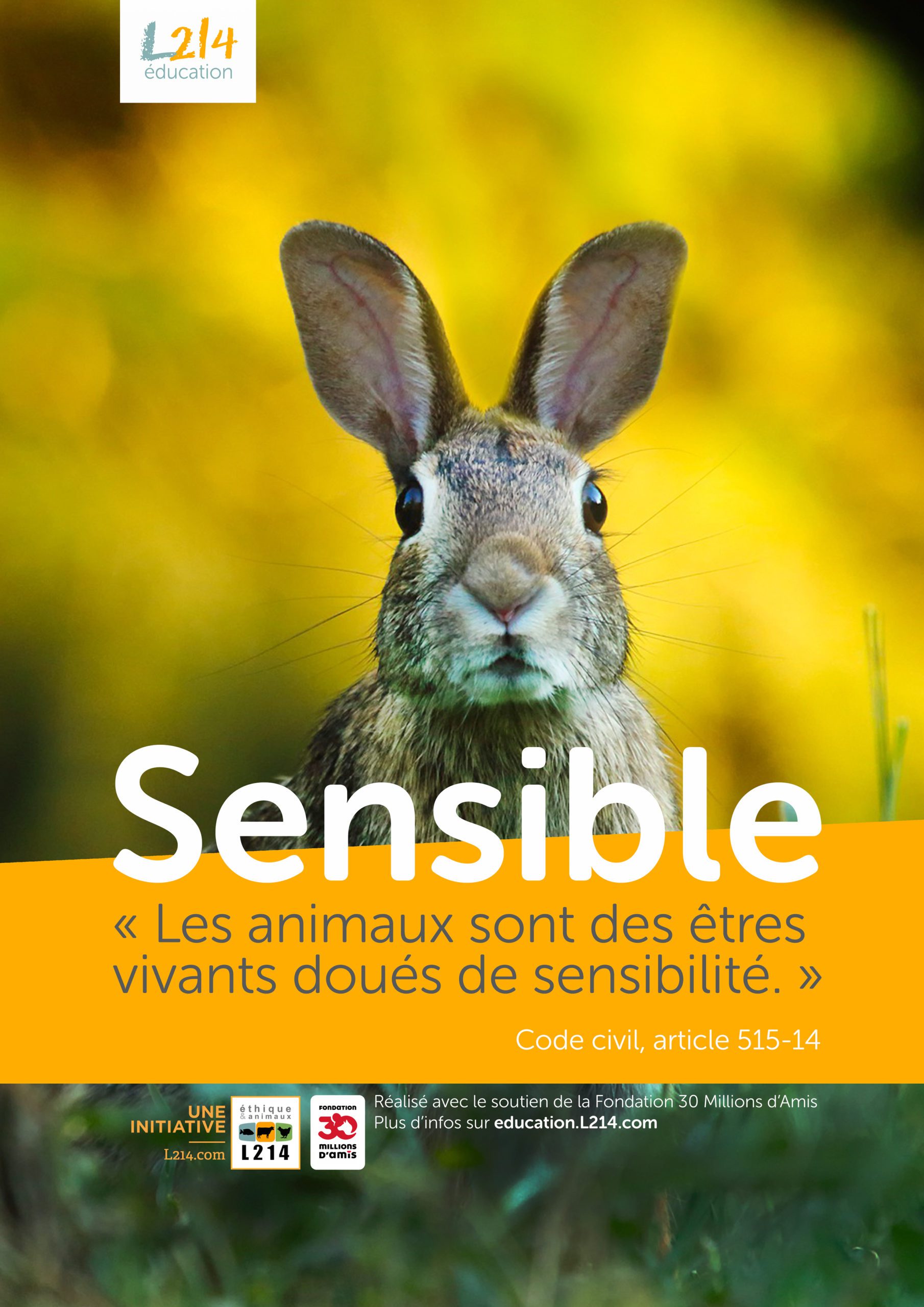 Poster  « Sensible » n°5