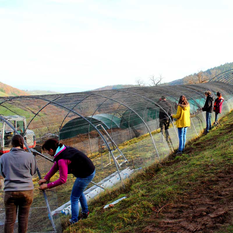 Des bénévoles aident à la construction d'une nouvelle volière.