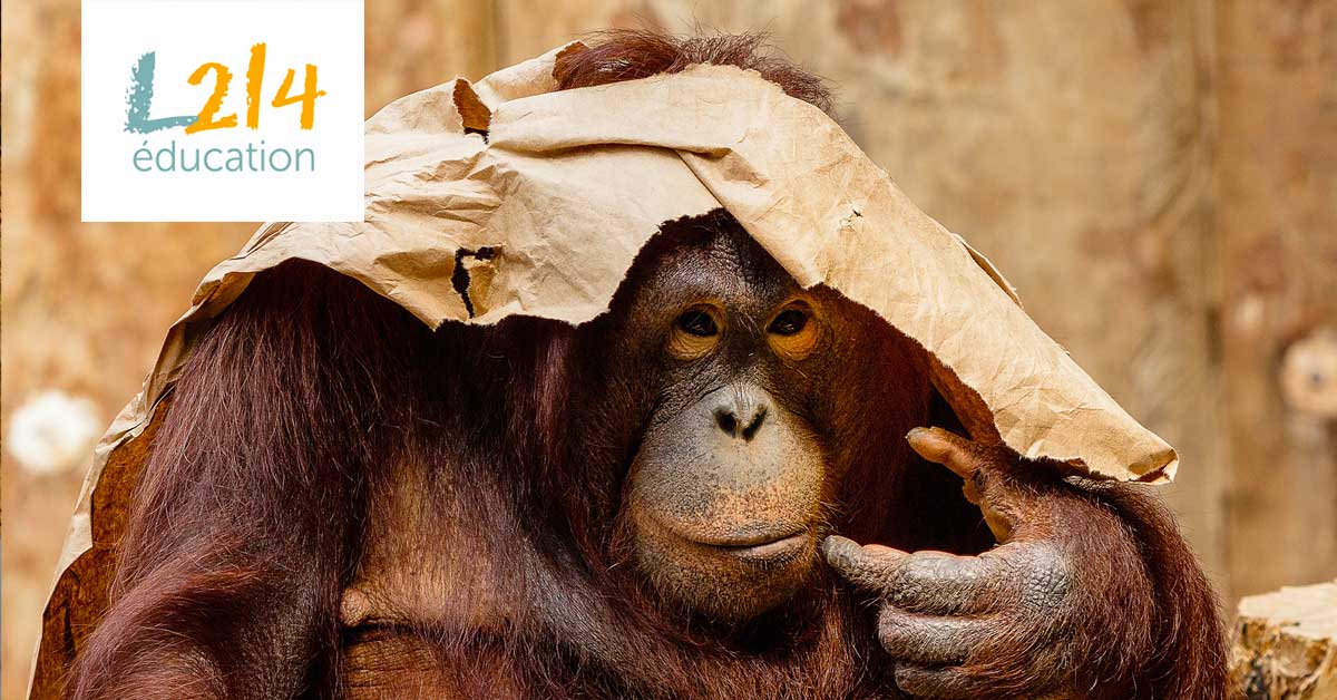 MON ACTU ANIMALE #5 – Janvier 2020