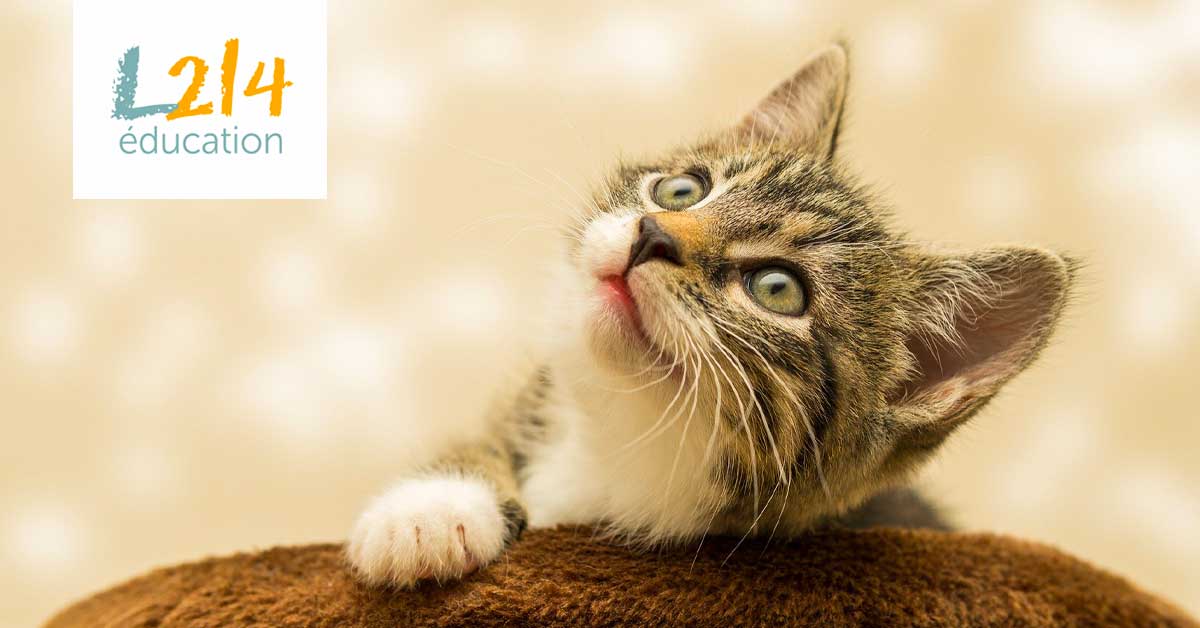 Mon actu animale #7 – Avril 2020