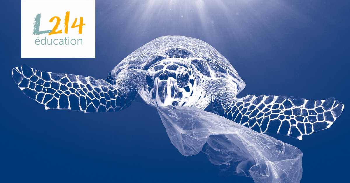 DOSSIER #2 : Un océan de plastique