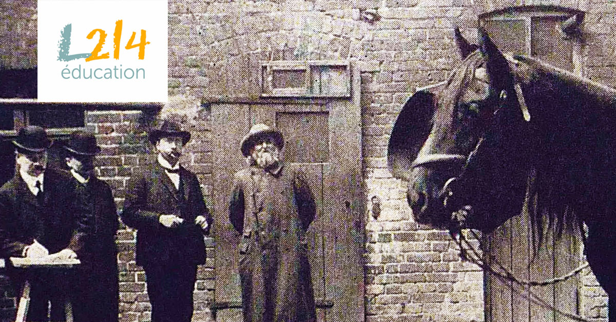 Hans le malin, un cheval génial !
