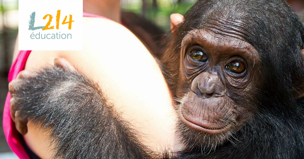 MÉTIER : Plus tard je voudrais être... primatologue