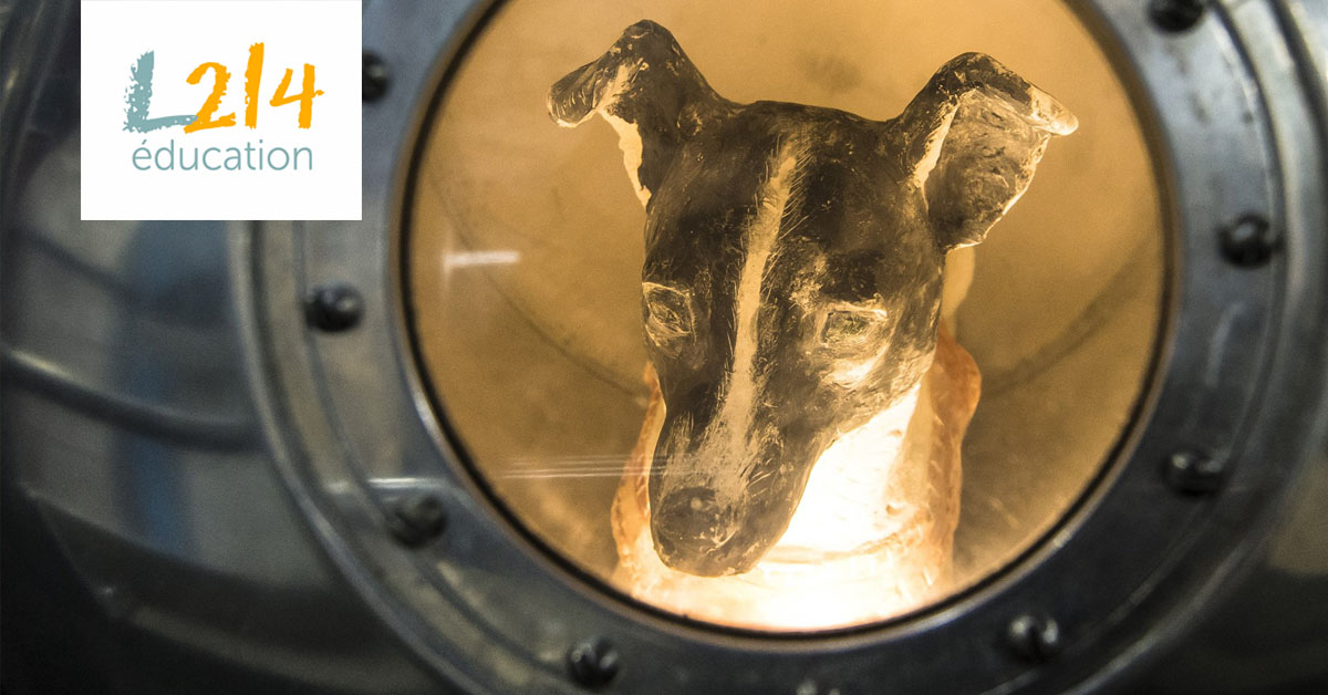 DOSSIER #3 : Ces animaux pionniers de l'espace