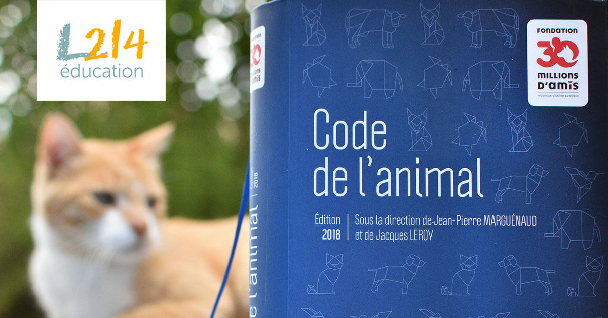MÉTIER : Plus tard je voudrais être... avocat pour les animaux !