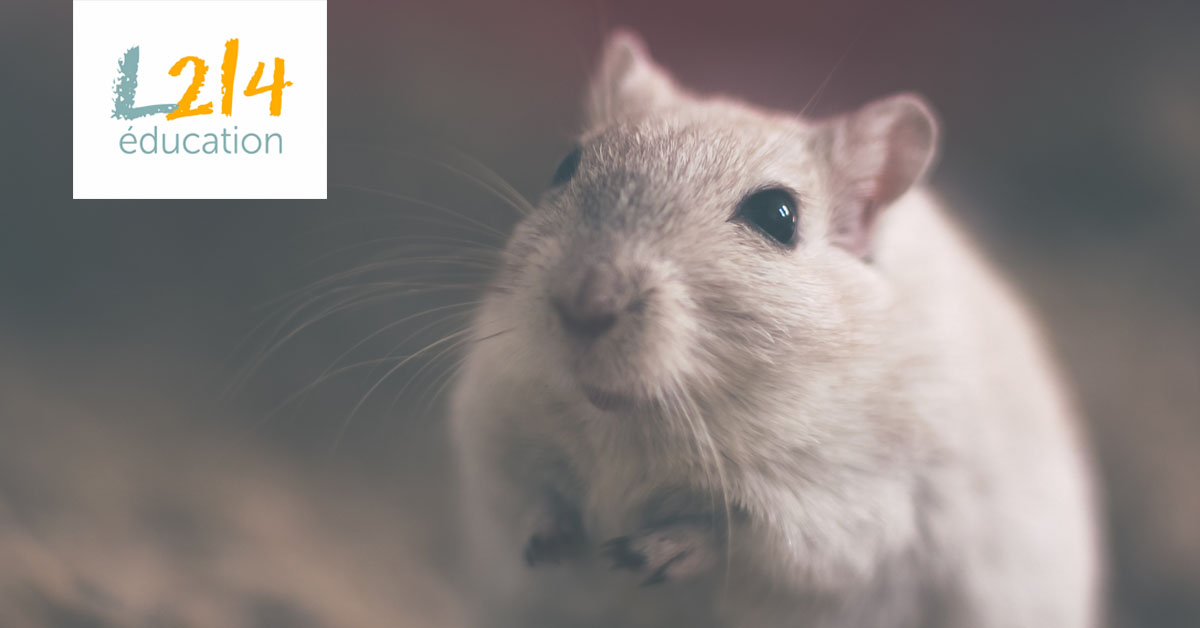 Les nuisibles, ces animaux qui nous embêtent !