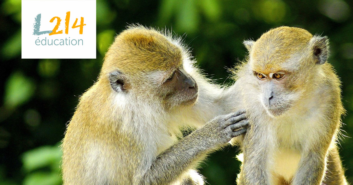 Mais, que (se) disent les animaux ?