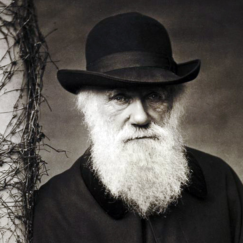 Charles Darwin en 1880