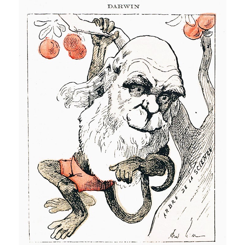 Darwin caricaturé en singe dans 'La petite lune'