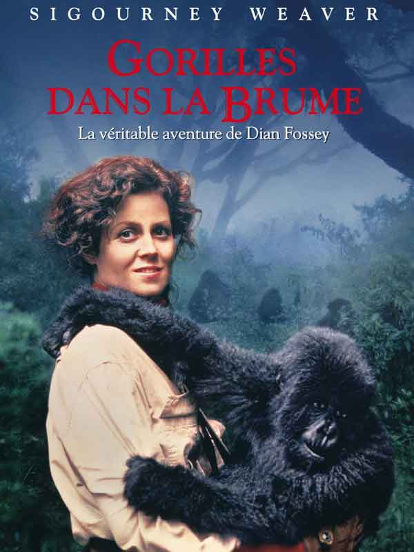 Affiche du film Gorilles dans la brume