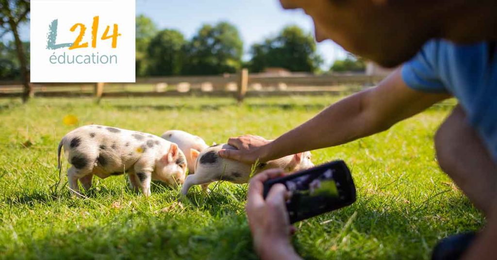 Animation scolaire visite virtuelle refuge pour animaux