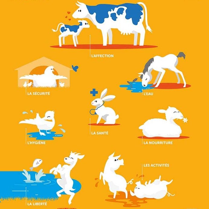 Poster Mon-journal-animal #4 / Les besoins des animaux