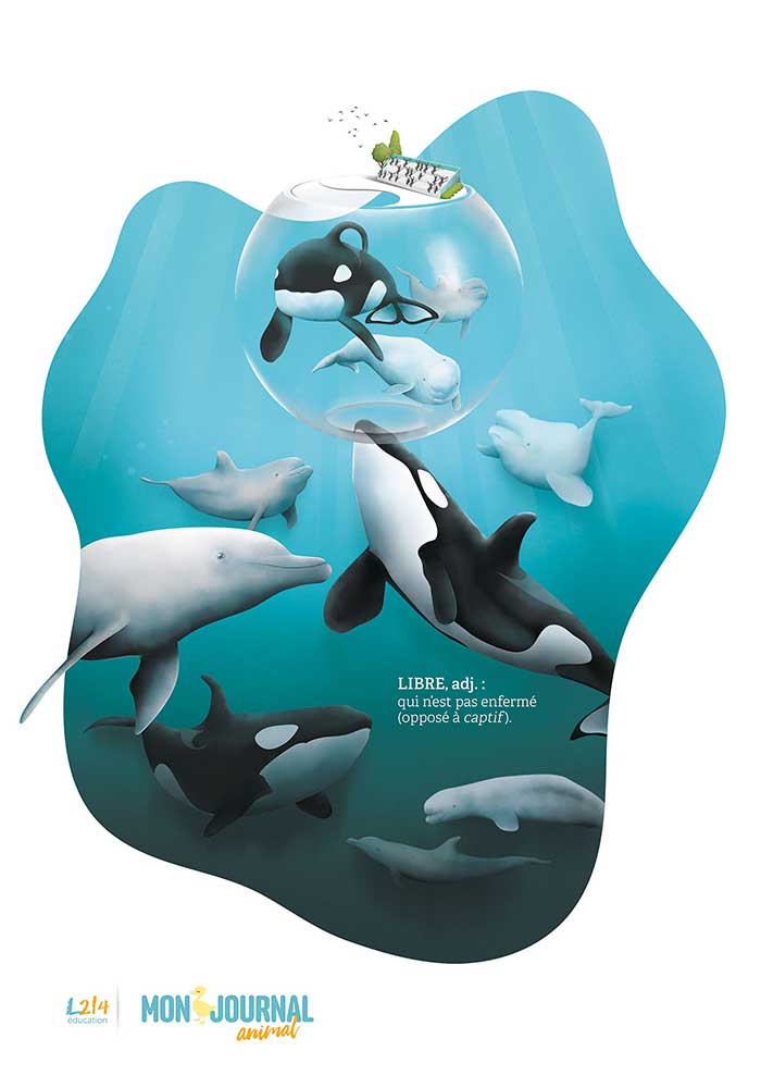 Poster Mon-journal-animal #5 / La captivité des mammifères marins