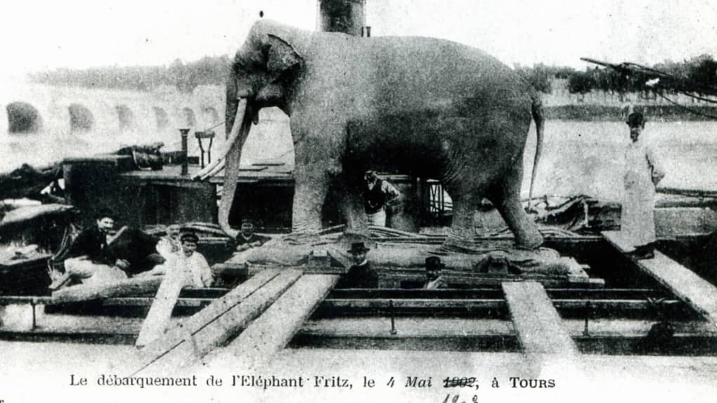 Arrivée de Fritz l'éléphant à Tours
