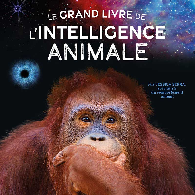 Jessica Serra grand livre de l'intelligence animale
