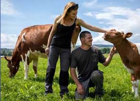 The meat and dairy farmers who are going vegan