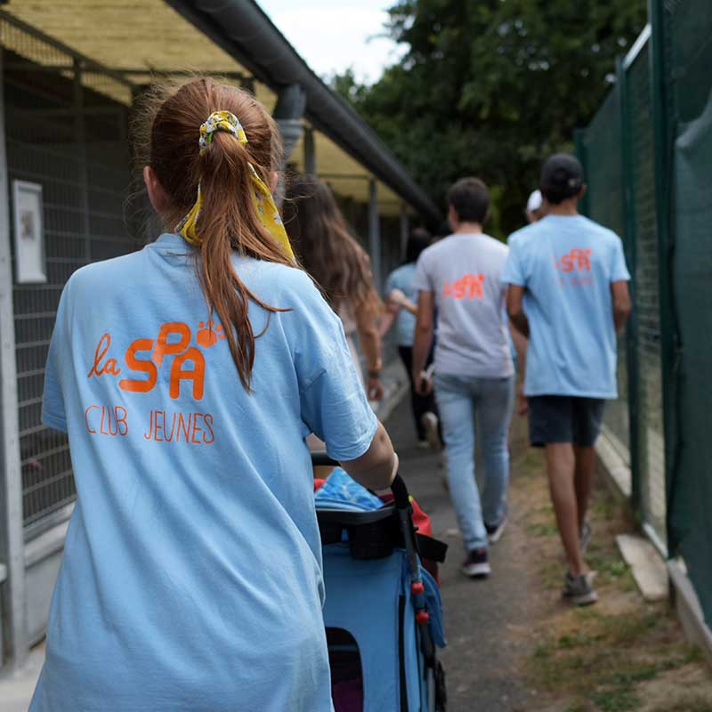 Club Jeunes SPA - En action avec les bénévoles