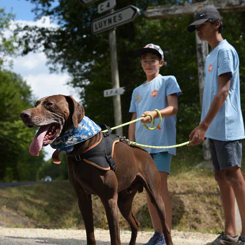 Club Jeunes SPA - Solal et son frère Sacha en balade avec le chien Jules