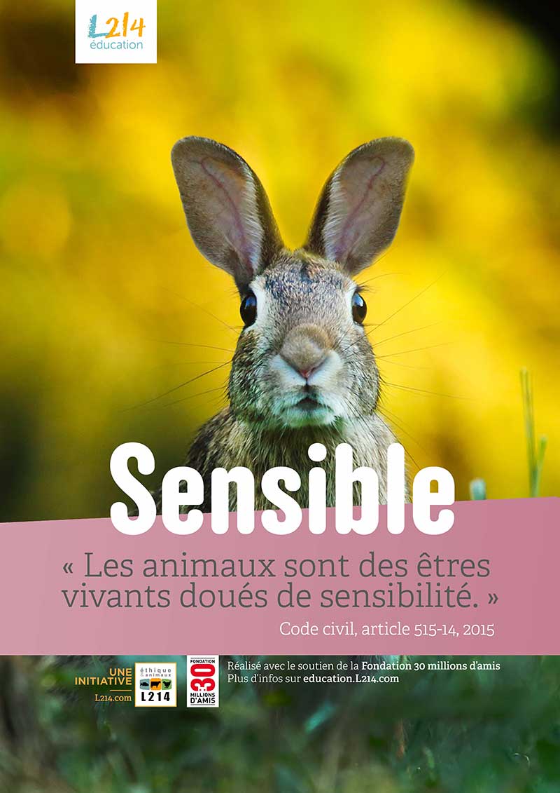 Animaux sensibles - Poster pedagogique gratuit - Lapin