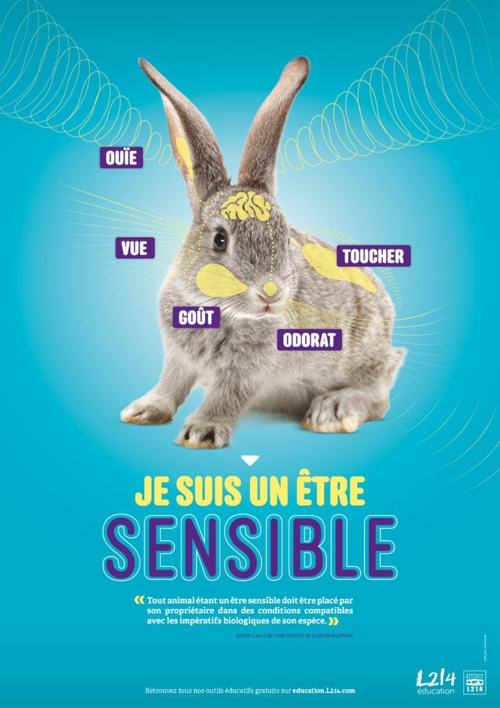 Poster pédagogique "Je suis un être sensible" - Enseignement moral et civique - Article L214-1 du Code rural