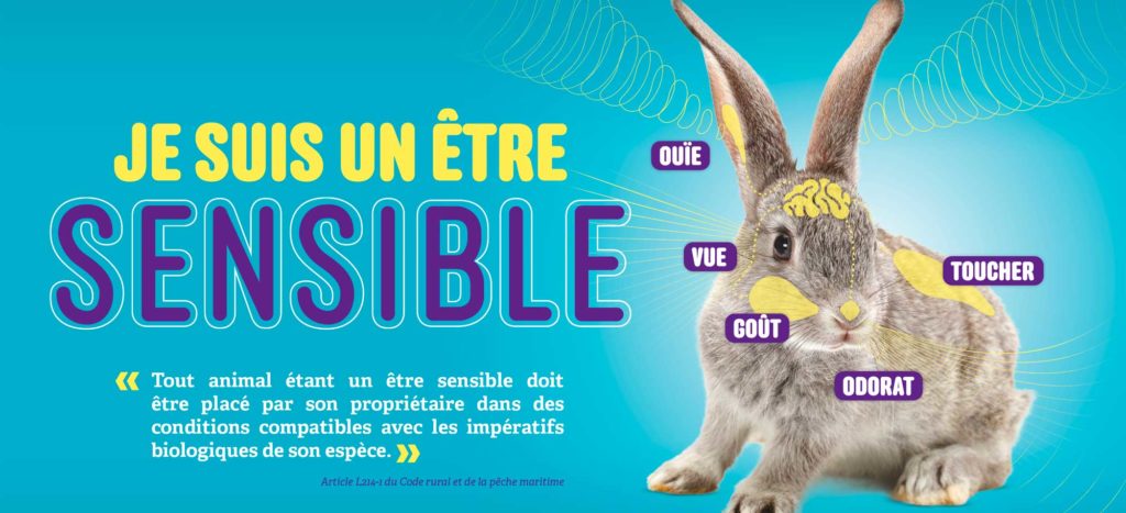 Poster pédagogique "Je suis un être sensible" - Enseignement moral et civique - Article L214-1 du Code rural
