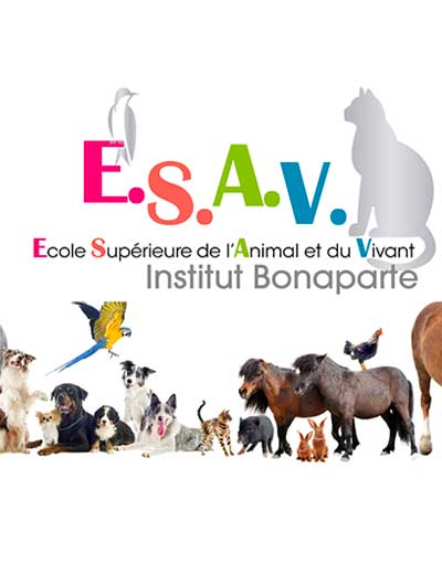 Formation éthique et condition animale / ESAV