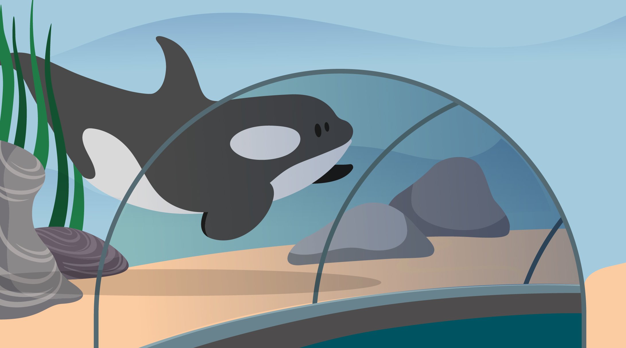 Activité à faire en classe-Les-reves-des-animaux-2022-orque parc aquatique