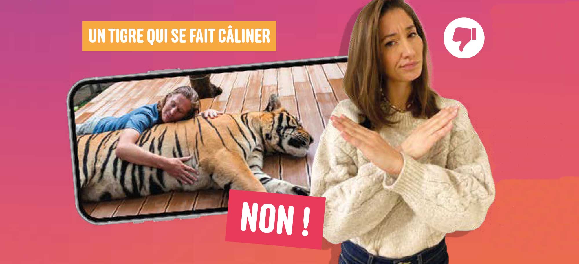 Vidéos d'animaux : on like ou pas ? bannière