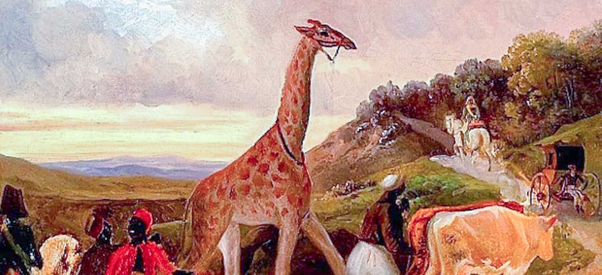 Le voyage extraordinaire de Zarafa la girafe