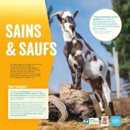 Exposition pédagogique "Sains et Saufs" / Les animaux de refuge / Panneau 1