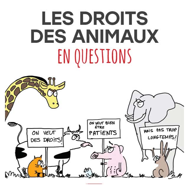 Dominic Hofbauer / Rosa B / Les droits des animaux en questions / La Plage