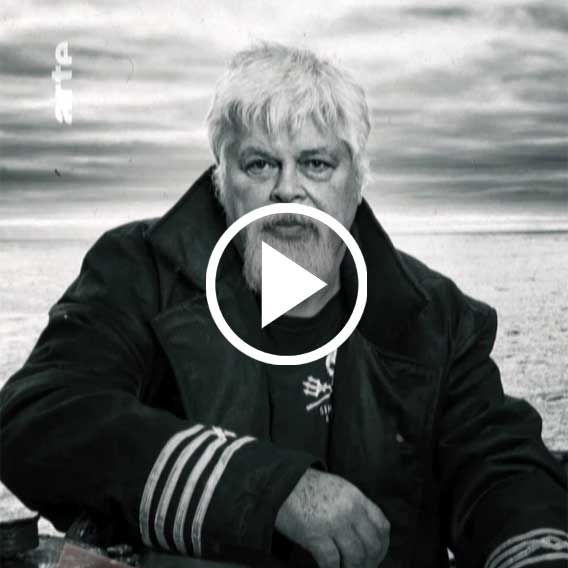 Paul Watson : la défense des animaux marins et des océans