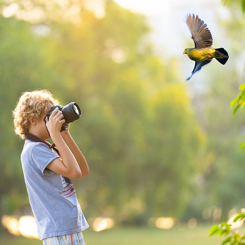 Découvrir la photo animalière