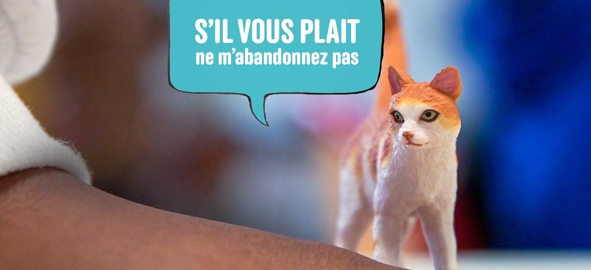 En photos, ces élèves donnent une voix aux animaux