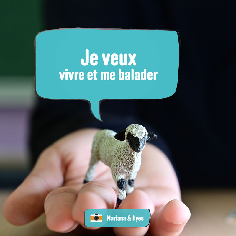 En photos, ces élèves donnent une voix aux animaux