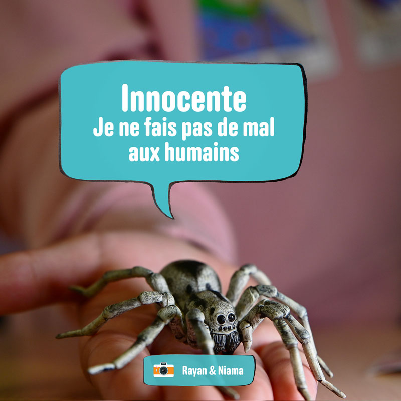 En photos, ces élèves donnent une voix aux animaux