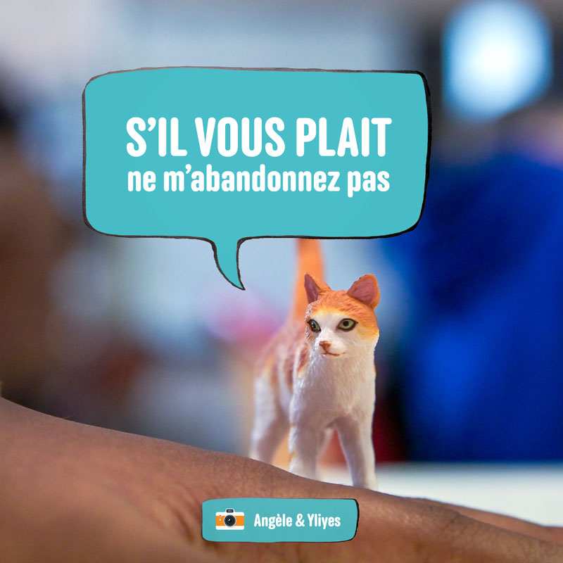 En photos, ces élèves donnent une voix aux animaux