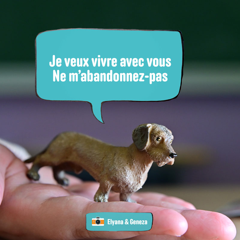 En photos, ces élèves donnent une voix aux animaux