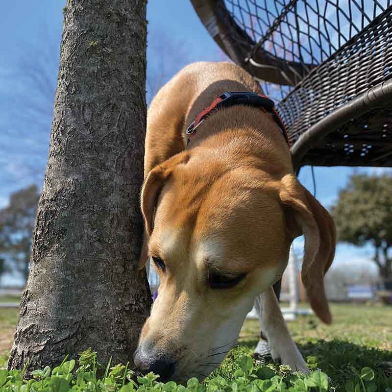 Snif snif, voyons quelles informations ont été laissées ici !