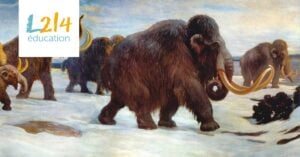 Troupeau de mammouths en marche, peinture murale de Charles R. Knight, 1916, au Muséum américain d’histoire naturelle.