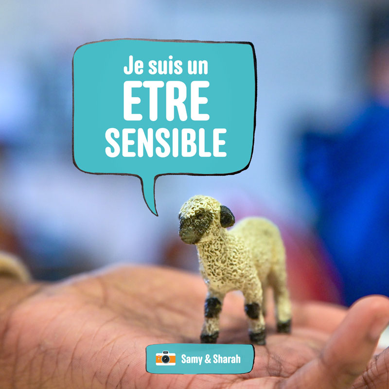 En photos, ces élèves donnent une voix aux animaux
