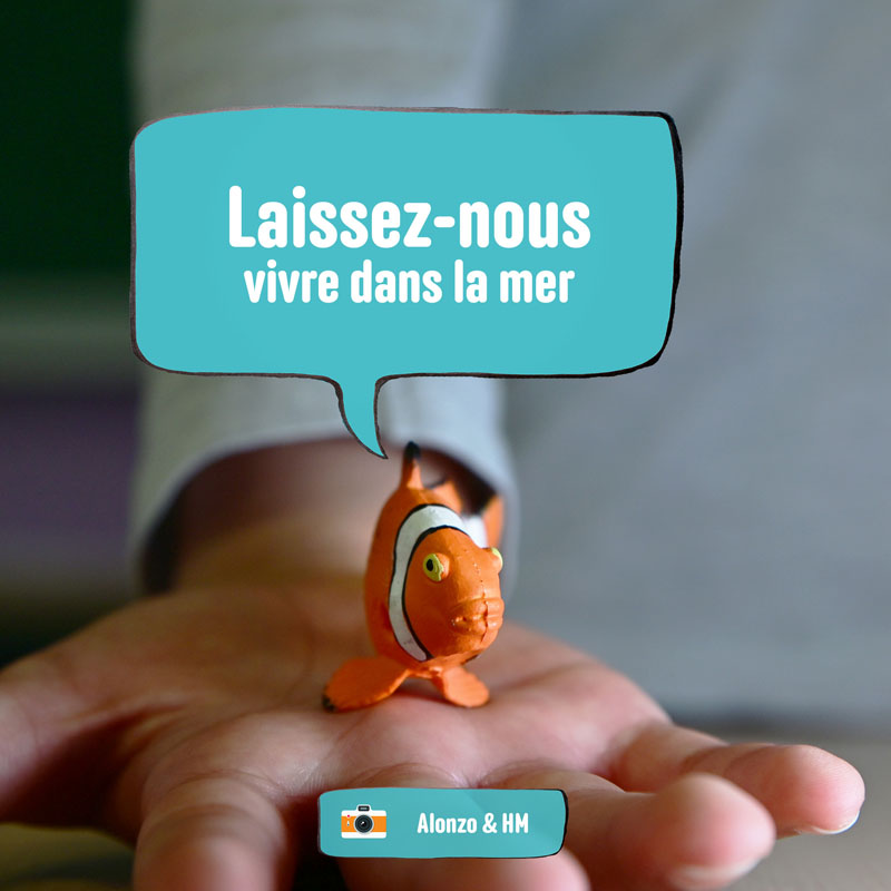 En photos, ces élèves donnent une voix aux animaux