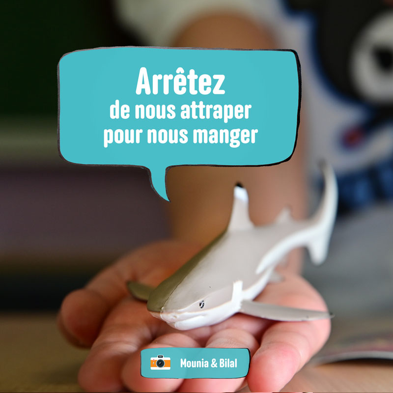 En photos, ces élèves donnent une voix aux animaux