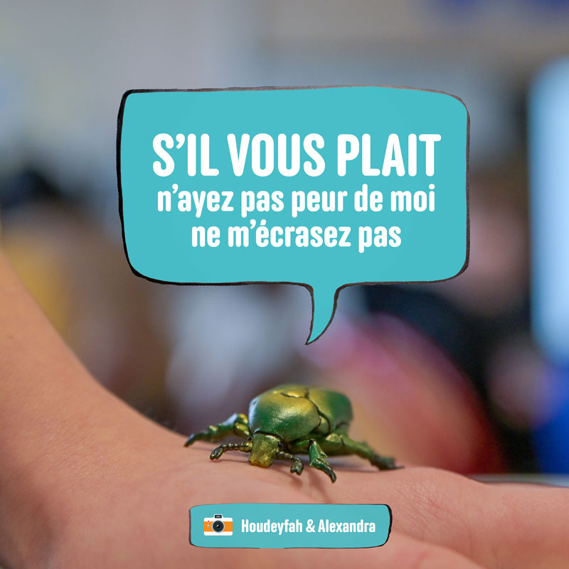 En photos, ces élèves donnent une voix aux animaux