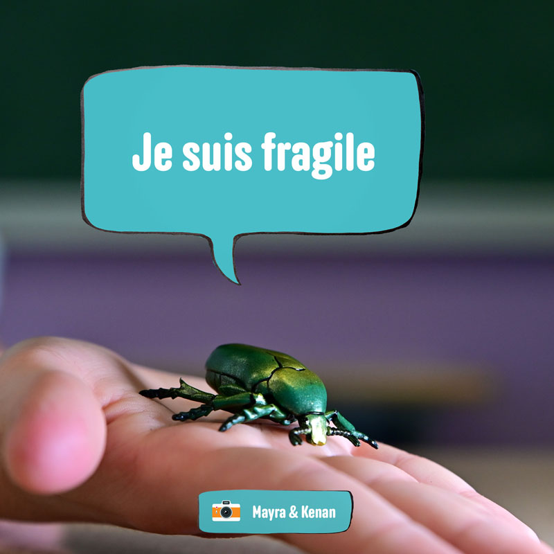 En photos, ces élèves donnent une voix aux animaux