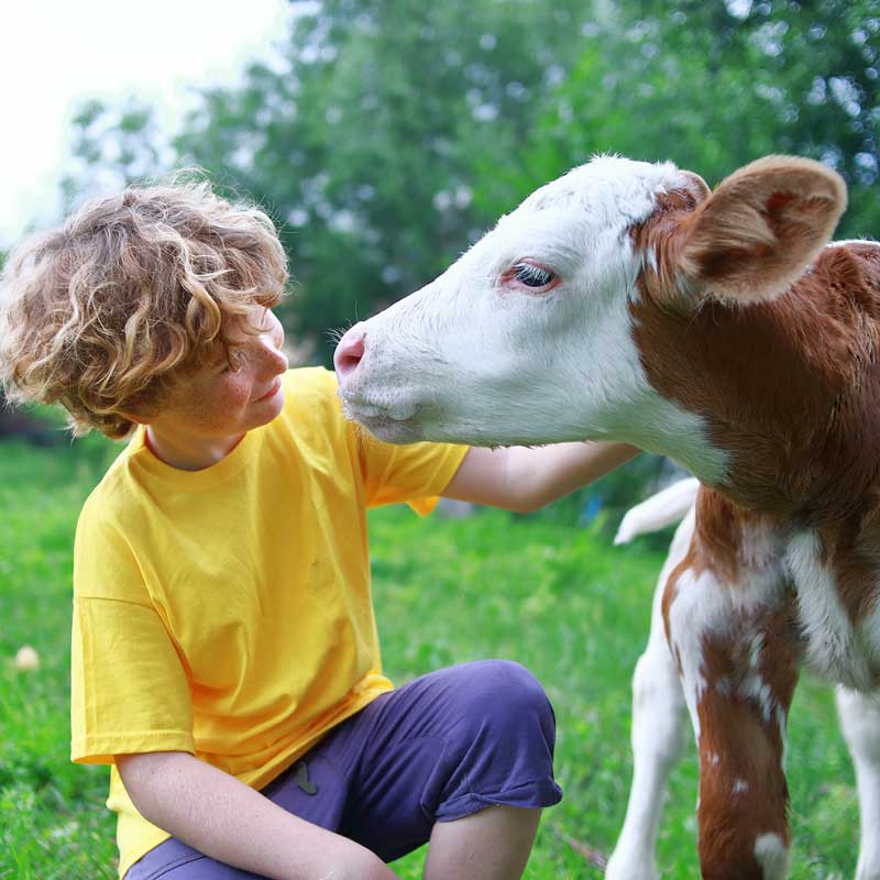 Comment sensibiliser le jeune public au respect des animaux ?