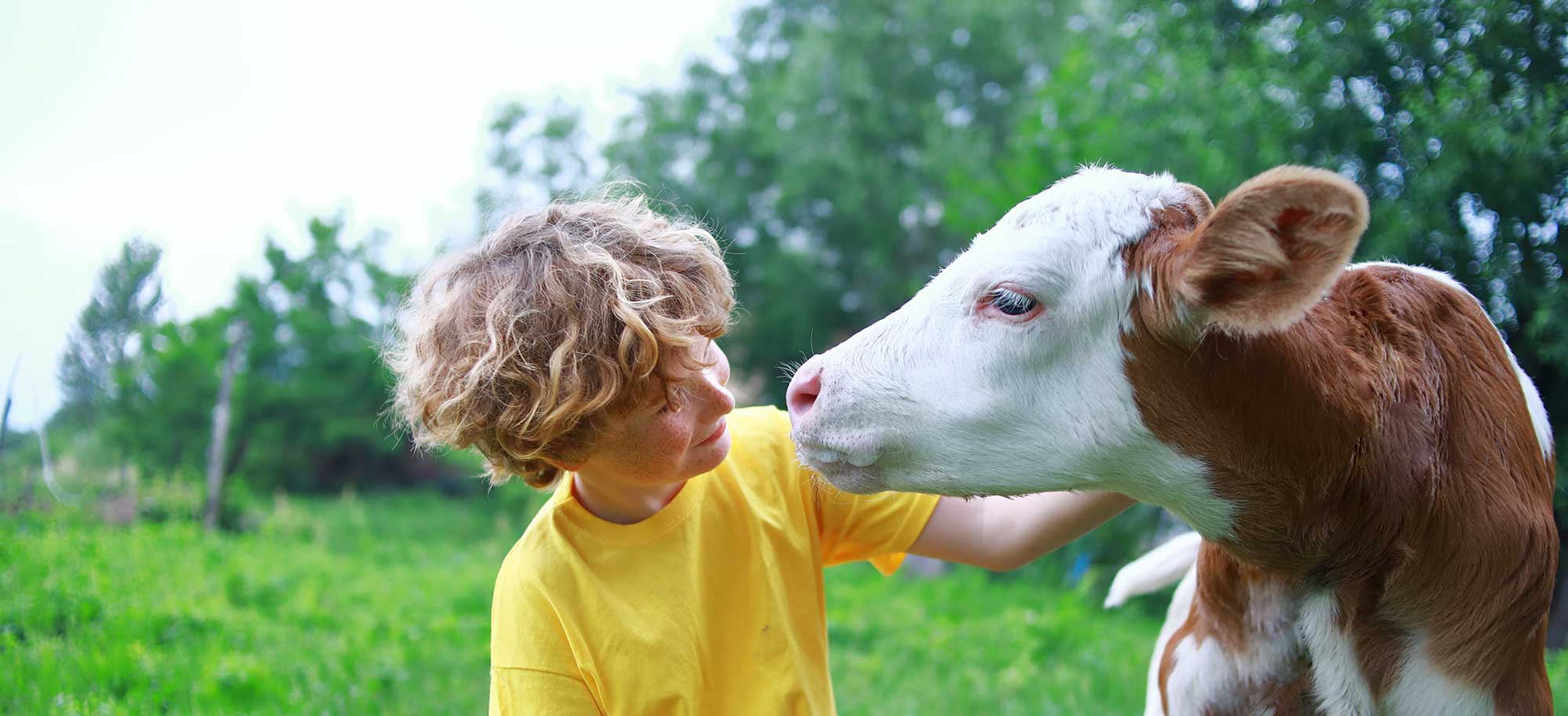 Comment sensibiliser le jeune public au respect des animaux ?