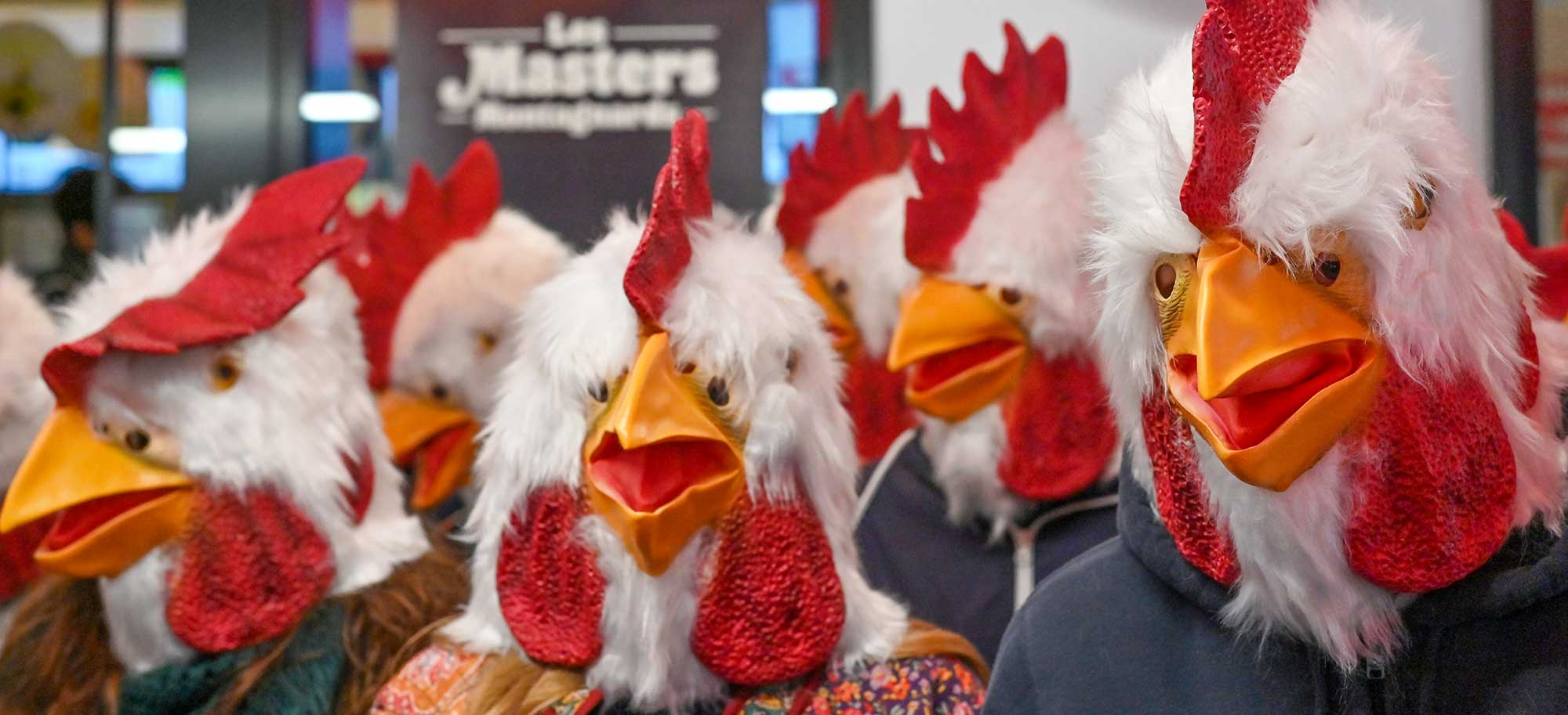 Concevez une campagne avec vos étudiants pour défendre les animaux !